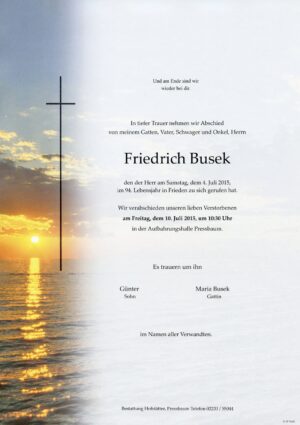 Portrait von Pressbaum – Herr Friedrich Busek