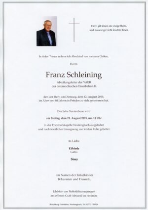 Portrait von Neulengbach – Herr Schleining