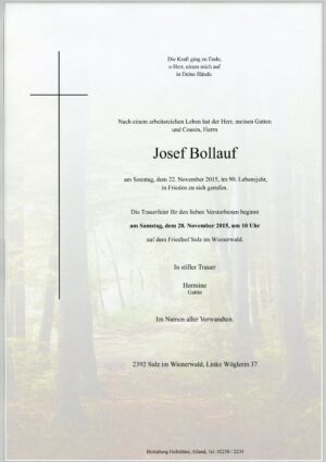 Portrait von Sulz im Wienerwald – Herr Josef Bollauf