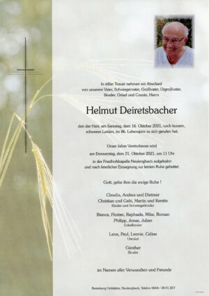 Portrait von Neulengbach – Herr Helmut Deiretsbacher